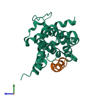 PDB entry 1g5j coloured by chain, side view.