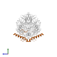 Methanol dehydrogenase [cytochrome c] subunit 2 in PDB entry 1g72, assembly 1, side view.