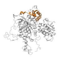 The deposited structure of PDB entry 1ggf contains 4 copies of Pfam domain PF06628 (Catalase-related immune-responsive) in Catalase HPII. Showing 1 copy in chain A.
