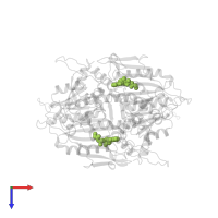 GLYCYL-ADENOSINE-5'-PHOSPHATE in PDB entry 1ggm, assembly 1, top view.