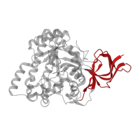 The deposited structure of PDB entry 1gkr contains 4 copies of CATH domain 2.30.40.10 (Urease, subunit C; domain 1) in L-hydantoinase. Showing 1 copy in chain A.