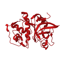 The deposited structure of PDB entry 1glo contains 1 copy of CATH domain 3.90.70.10 (Cathepsin B; Chain A) in Cathepsin S. Showing 1 copy in chain A.