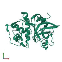 Cathepsin S in PDB entry 1glo, assembly 1, front view.