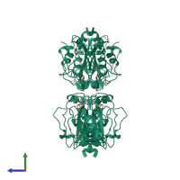 Homo tetrameric assembly 1 of PDB entry 1gp1 coloured by chemically distinct molecules, side view.