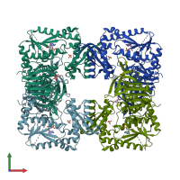 PDB entry 1gpm coloured by chain, front view.