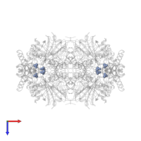 ACETATE ION in PDB entry 1gwf, assembly 1, top view.