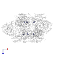 ZINC ION in PDB entry 1gyt, assembly 1, top view.