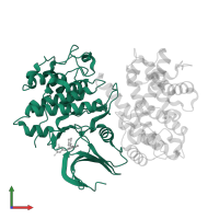 Cyclin-dependent kinase 2 in PDB entry 1h1r, assembly 1, front view.