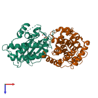 Hetero dimeric assembly 2 of PDB entry 1h25 coloured by chemically distinct molecules, top view.