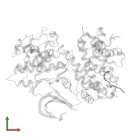 Retinoblastoma-associated protein in PDB entry 1h25, assembly 1, front view.