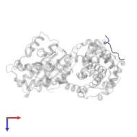 Retinoblastoma-associated protein in PDB entry 1h25, assembly 1, top view.