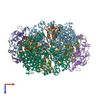 PDB entry 1hbm coloured by chain, top view.