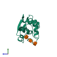 PDB entry 1hew coloured by chain, side view.
