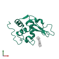 Lysozyme C in PDB entry 1hew, assembly 1, front view.