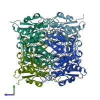 PDB entry 1hg0 coloured by chain, side view.