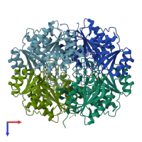 PDB entry 1hg0 coloured by chain, top view.