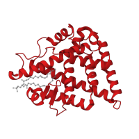 The deposited structure of PDB entry 1hg4 contains 6 copies of CATH domain 1.10.565.10 (Retinoid X Receptor) in Protein ultraspiracle. Showing 1 copy in chain A.