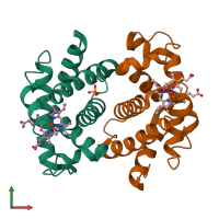 PDB entry 1hho coloured by chain, front view.