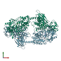 PDB entry 1hkb coloured by chain, front view.