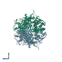 PDB entry 1hkb coloured by chain, side view.