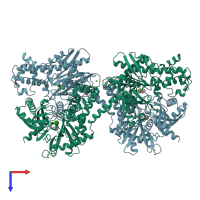 PDB entry 1hkb coloured by chain, top view.