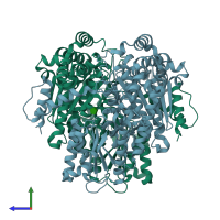 PDB entry 1hox coloured by chain, side view.
