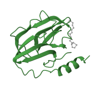 The deposited structure of PDB entry 1hpc contains 2 copies of SCOP domain 51231 (Biotinyl/lipoyl-carrier proteins and domains) in Glycine cleavage system H protein, mitochondrial. Showing 1 copy in chain A.