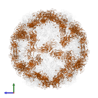 Capsid protein VP2 in PDB entry 1hrv, assembly 1, side view.