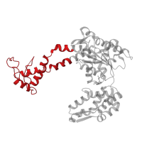 The deposited structure of PDB entry 1ht1 contains 4 copies of CATH domain 1.10.8.10 (Helicase, Ruva Protein; domain 3) in ATP-dependent protease ATPase subunit HslU. Showing 1 copy in chain I [auth E].