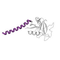 The deposited structure of PDB entry 1htn contains 1 copy of SCOP domain 57945 (Triple coiled coil domain of C-type lectins) in Tetranectin. Showing 1 copy in chain A.