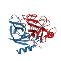 The deposited structure of PDB entry 1hv7 contains 2 copies of CATH domain 2.40.10.10 (Thrombin, subunit H) in Chymotrypsin-like elastase family member 1. Showing 2 copies in chain A.