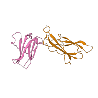 The deposited structure of PDB entry 1hwg contains 4 copies of SCOP domain 49266 (Fibronectin type III) in Growth hormone-binding protein. Showing 2 copies in chain B.