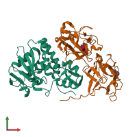 PDB entry 1hwo coloured by chain, front view.