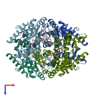 PDB entry 1hyh coloured by chain, top view.