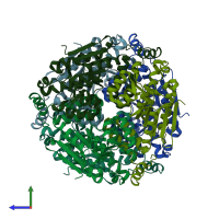 PDB entry 1hzd coloured by chain, side view.
