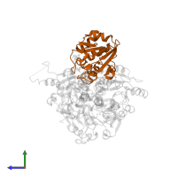 NAD(P) transhydrogenase subunit beta in PDB entry 1hzz, assembly 1, side view.