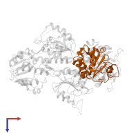 NAD(P) transhydrogenase subunit beta in PDB entry 1hzz, assembly 1, top view.