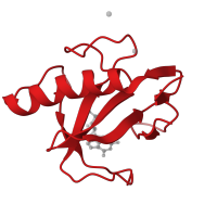 The deposited structure of PDB entry 1i2f contains 1 copy of CATH domain 3.10.450.30 (Nuclear Transport Factor 2; Chain: A,) in Guanyl-specific ribonuclease T1. Showing 1 copy in chain A.