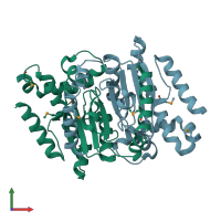 PDB entry 1i6o coloured by chain, front view.