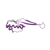 The deposited structure of PDB entry 1ibk contains 1 copy of CATH domain 3.30.70.600 (Alpha-Beta Plaits) in Small ribosomal subunit protein uS10. Showing 1 copy in chain K [auth J].