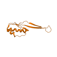 The deposited structure of PDB entry 1ibk contains 1 copy of Pfam domain PF00338 (Ribosomal protein S10p/S20e) in Small ribosomal subunit protein uS10. Showing 1 copy in chain K [auth J].