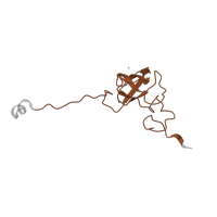 The deposited structure of PDB entry 1ibk contains 1 copy of Pfam domain PF00164 (Ribosomal protein S12/S23) in Small ribosomal subunit protein uS12. Showing 1 copy in chain M [auth L].