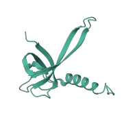 The deposited structure of PDB entry 1ibk contains 1 copy of SCOP domain 58120 (Ribosome complexes) in Small ribosomal subunit protein uS17. Showing 1 copy in chain R [auth Q].