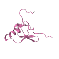 The deposited structure of PDB entry 1ibk contains 1 copy of Pfam domain PF00203 (Ribosomal protein S19) in Small ribosomal subunit protein uS19. Showing 1 copy in chain T [auth S].