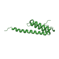 The deposited structure of PDB entry 1ibk contains 1 copy of CATH domain 1.20.58.110 (Methane Monooxygenase Hydroxylase; Chain G, domain 1) in Small ribosomal subunit protein bS20. Showing 1 copy in chain U [auth T].