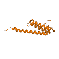 The deposited structure of PDB entry 1ibk contains 1 copy of SCOP domain 58120 (Ribosome complexes) in Small ribosomal subunit protein bS20. Showing 1 copy in chain U [auth T].