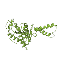 The deposited structure of PDB entry 1ibk contains 1 copy of SCOP domain 58120 (Ribosome complexes) in Small ribosomal subunit protein uS2. Showing 1 copy in chain C [auth B].