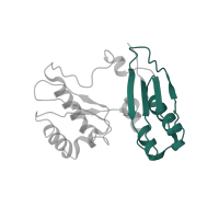 The deposited structure of PDB entry 1ibk contains 1 copy of Pfam domain PF00189 (Ribosomal protein S3, C-terminal domain) in Small ribosomal subunit protein uS3. Showing 1 copy in chain D [auth C].