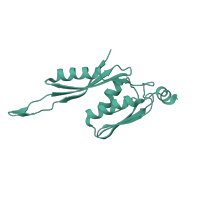 The deposited structure of PDB entry 1ibk contains 1 copy of SCOP domain 58120 (Ribosome complexes) in Small ribosomal subunit protein uS5. Showing 1 copy in chain F [auth E].