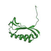 The deposited structure of PDB entry 1ibk contains 1 copy of SCOP domain 58120 (Ribosome complexes) in Small ribosomal subunit protein bS6. Showing 1 copy in chain G [auth F].